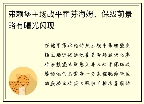 弗赖堡主场战平霍芬海姆，保级前景略有曙光闪现