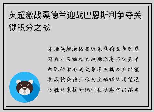 英超激战桑德兰迎战巴恩斯利争夺关键积分之战